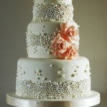 So Simple and Elegant Cake