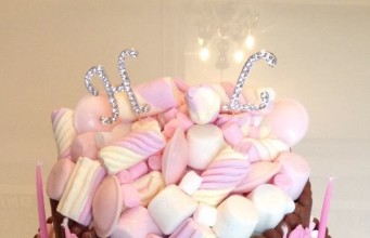 Pink Princess Chocolate Marshmallow Cake