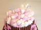 Pink Princess Chocolate Marshmallow Cake