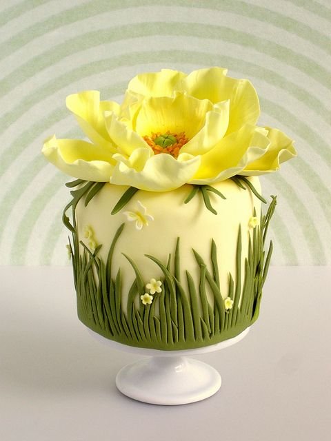 Yellow Poppy Cake