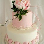 So Lovely Cake