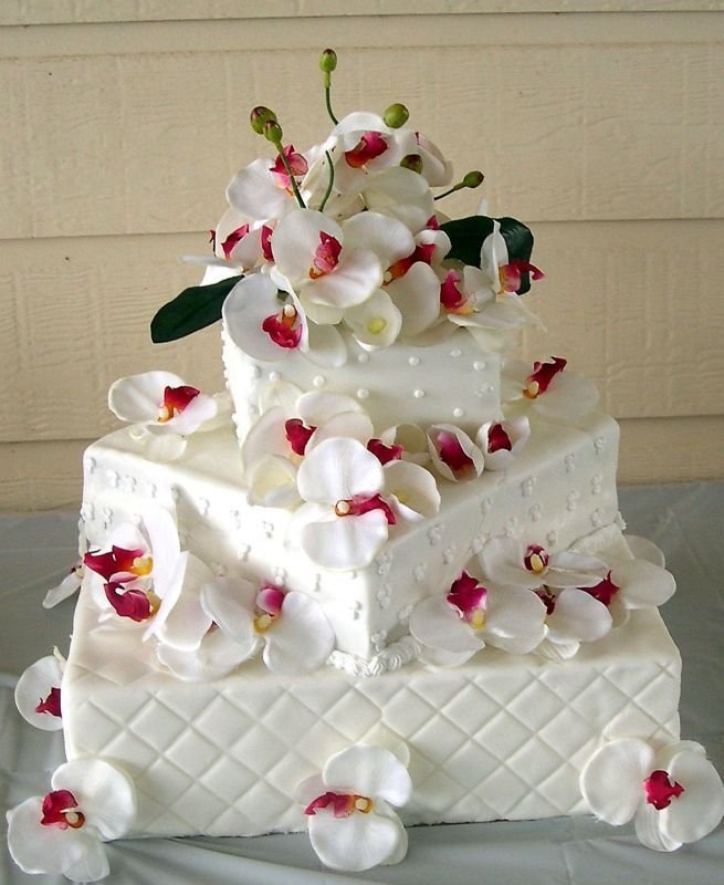 Such a Pretty Cake