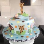 Cute Cake by Ann Ewers