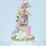 Gayu Lewis Sugarology Cake