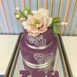 Purple Cake by Neslihan Kosker