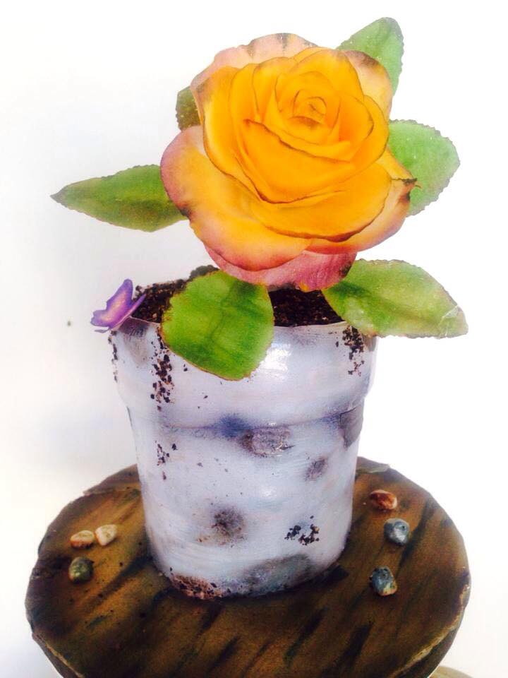 Flower on a Pot Cake by Daniel Guiriba‎