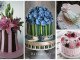 Competition: Most Wanted Cake Artist In the World