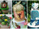 Competition: World's Award-Winning Cake Decorator