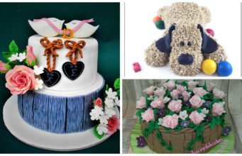 Competition: World's Number 1 Cake Expert