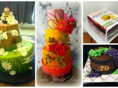 Competition: World's Most Excellent Cake Artist