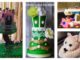 Competition: Worlds Super Trusted Cake Decorator