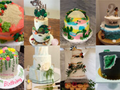 Vote: Worlds Highly Remarkable Cake Specialist