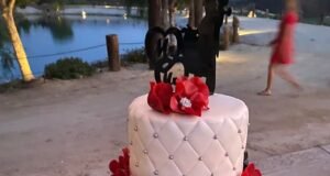 Cake by Hopelessly Sweets