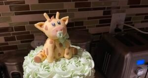 Cake by Jacquelyn Hoag’s Cakes