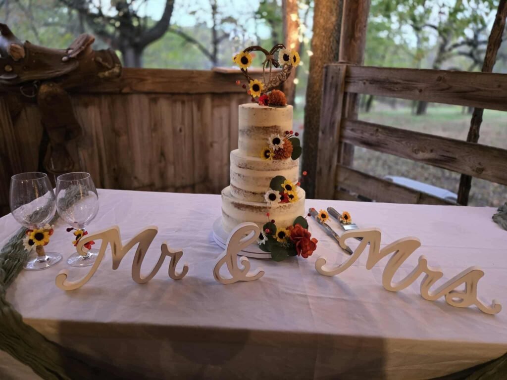 Cake by The Calico Dog