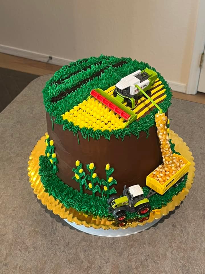 Cake by Kitchen Katie Bakes